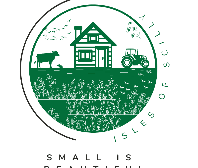 Island School Children Design Project Logo