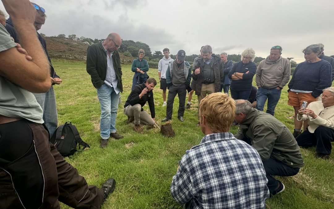 Pasture for Life and Terrafarmer Reporting