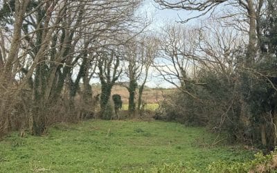 Small is Beautiful update, Spring 2026